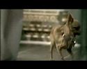 Play - kucharz reklama