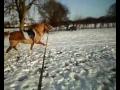 Winter '09 [When it gets too cold, your not alone ♥]