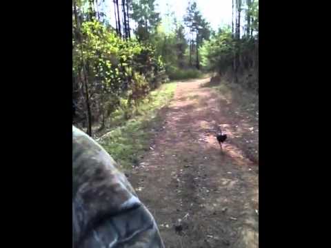 Unreal Turkey Hunt Part 2