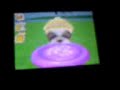 Nintendogs Lucy n Lucky