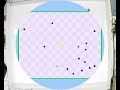 swarm tag game