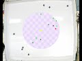swarm tag game