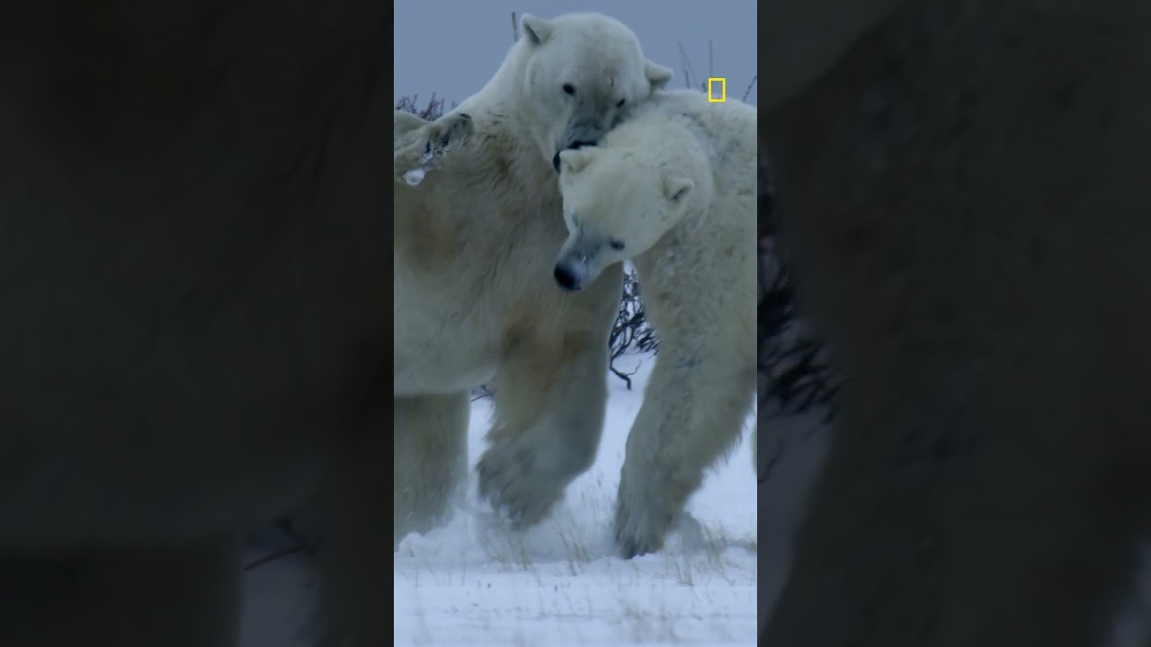 Turn it up. Nature already did.