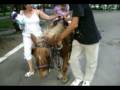 videos de Dorel Sparios cu Briana - Jiana taragot.mpg
