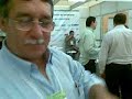 Benzimento da pinga