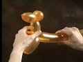 Balloon art: Il Cagnolino Balloon art: Il Cagnolino