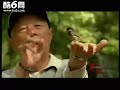 2008  propaganda film