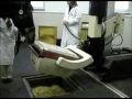 Diagnostic Services Inc: Equistand in use