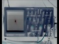 popular workshop- X Rays confidential popular workshop- X Rays confidential