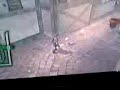 Zelda twilight princess ( link jugando con un perrito)