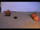 STOP MOTION! BRIGHT EYES MUSIC VIDEO! W/ PUMPKINS!!! STOP MOTION! BRIGHT EYES MUSIC VIDEO! W/ PUMPKINS!!!