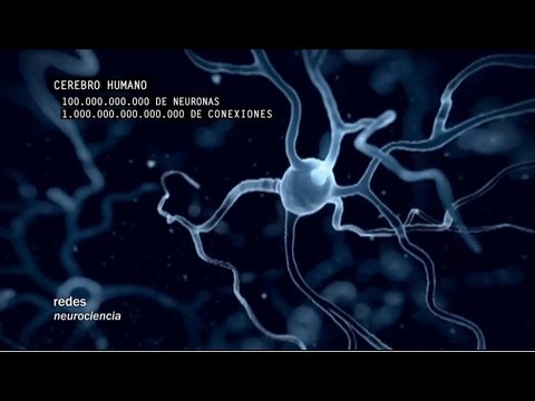 Imatge de previsualització de YouTube