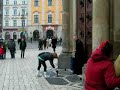 Man - sing in Krakow. I could not belive ... it is wonderful Man - sing in Krakow. I could not belive ... it is wonderful