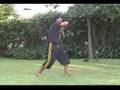 Bambang Suwanda - Cikalong Elbows