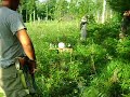 AK-47 Bump Fire