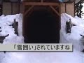 ???????????? ?????? ??1