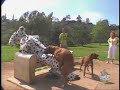 trigger happy dalmation