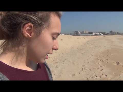 Imatge de previsualització de YouTube