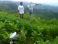 videos de Ziarah Bandwidth