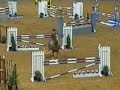 Dr Hollywood DVM 2008 AQHA World Finals Jumping Dr Hollywood DVM 2008 AQHA World Finals Jumping