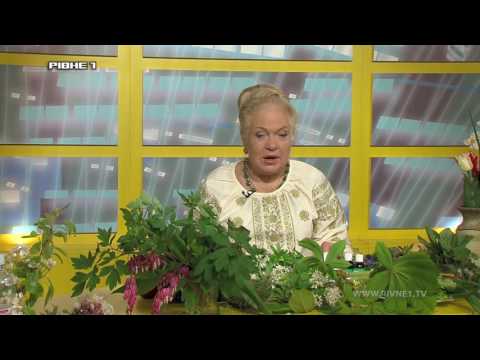 <a href='/Info/?id=81793' >"Зелена планета Земної". Випуск від 02.05.2017</a>