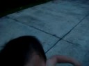 Nicky & Miggy's  Adventure 1