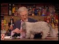 Luckies Slam Design TV Appearances