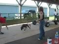 videos de Punky's first pull