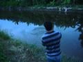 Fly on Tarpon II