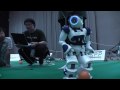 RoboCup 2009 Graz - Training Day