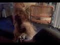 linus shows his true feelings for jenna.  and things get a little physical....