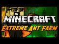 Extreme Ant Farm Survival - Ep. 19 - Combined Farms!