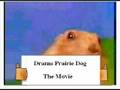Drama Prairie Dog:The Movie !!!