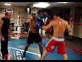 Treinamento Wanderlei Silva - Boxe