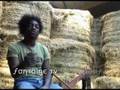kamini-marly gomont