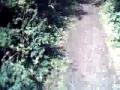 Boxley Woods Maidstone - Mountain Bike