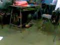 cuidao q te pilla xD