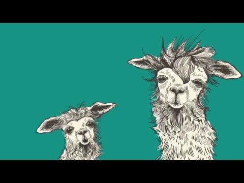 NAMA hỗ trợ mục tiêu phát triển bền vững như thế nào?