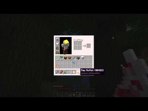 Minecraft :: Let Season 5 Begin! :: Mindcrack Server :: Episode 1