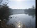 Save Argo Dam