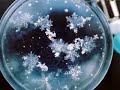 癒し系の音楽by彦☆星（曲：粉雪）relaxing　healing music powdery snow 