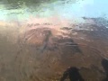 Gjedde fisking