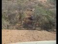 Koos se Klip