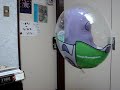 Buzz!