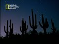 El Chi y otras energias ¿Son ciertas? (1 de 5)