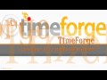 TimeForge Attendance Overview