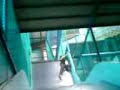 tazmyn goin down a slide