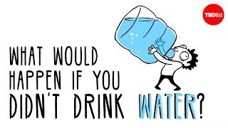 What would happen if you didn't drink water?