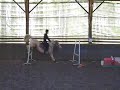 Chute Javanais