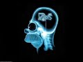 pitidos masia